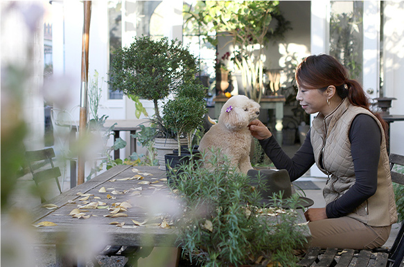 宮本里美と犬